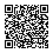 Generador de Códigos QR Codes