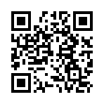 Generador de Códigos QR Codes