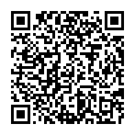 Generador de Códigos QR Codes