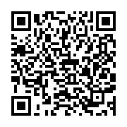 Generador de Códigos QR Codes