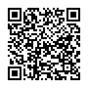 Generador de Códigos QR Codes
