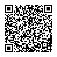 Generador de Códigos QR Codes