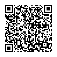 Generador de Códigos QR Codes