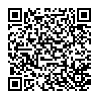 Generador de Códigos QR Codes