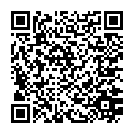 Generador de Códigos QR Codes