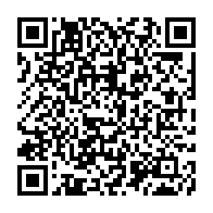 Generador de Códigos QR Codes
