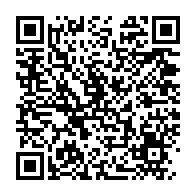 Generador de Códigos QR Codes