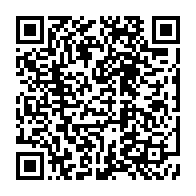 Generador de Códigos QR Codes