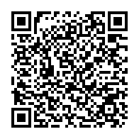 Generador de Códigos QR Codes