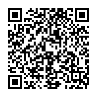 Generador de Códigos QR Codes