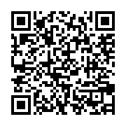 Generador de Códigos QR Codes