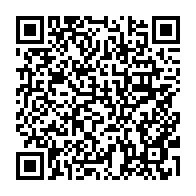 Generador de Códigos QR Codes