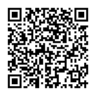 Generador de Códigos QR Codes