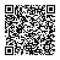 Generador de Códigos QR Codes
