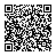 Generador de Códigos QR Codes