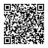 Generador de Códigos QR Codes