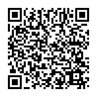 Generador de Códigos QR Codes