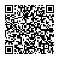 Generador de Códigos QR Codes