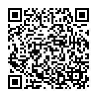 Generador de Códigos QR Codes