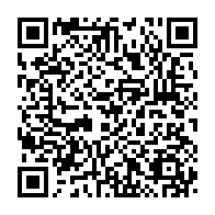 Generador de Códigos QR Codes